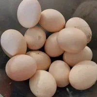 تخم مرغ لاری