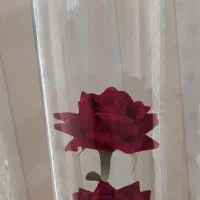 گل مناسب ولنتاین ، گل حبابی بسیار شیک ، کاملا نو