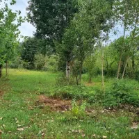 زمین مسکونی 700 متری شفت|فروش زمین و ملک کلنگی|رشت, لاکانی|دیوار