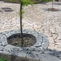 از پی تا بام|خدمات پیشه و مهارت|قوچان, |دیوار