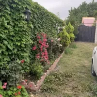 زمین سند تک برگ ۶۳۶ بنا ۷۵ نقد یا تهاتر|فروش خانه و ویلا|کرج, فاز ۳ گوهردشت|دیوار
