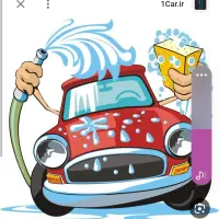 شاگرد استاد کار برای کارواش