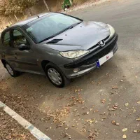 ۲۰۶مدل۸۹|خودرو سواری و وانت|شیراز, کاراندیش|دیوار