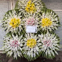 عمده فروشی تاج گل ترحیم ونمایشگاه بینالمللی|گل و گیاه طبیعی|تهران, سعادتآباد|دیوار