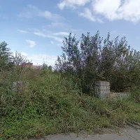 ۳۰۰ متر زمین شمالی جنوبی هچیرود