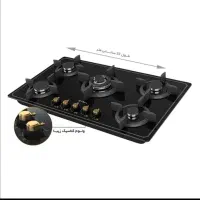 گاز صفحه ای داتیس مدل Dg-542