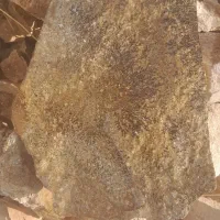 سنگ شجر طبیعی فروش کیلوی|کلکسیون اشیاء عتیقه|رزن, |دیوار