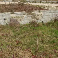 زمین خیابان فرهنگ 2 رویان