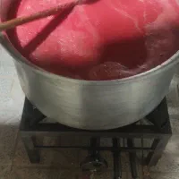 رب خانگی|خوردنی و آشامیدنی|کرج, چهارصد دستگاه|دیوار