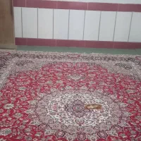 اجاره روزانه/ آپارتمان ۲۵۰ متری در شهرک مهدیه|اجارهٔ کوتاهمدت آپارتمان و سوئیت|مرودشت, شهرک مهدیه|دیوار