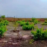 خونه-باغ-روستای-سدید