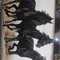 تابلو|تابلو فرش|تهران, اوقاف|دیوار