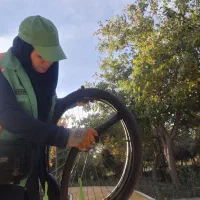 آموزش دوچرخه‌سواری و موتور سواری و تعمیرات|خدمات آموزشی|مشهد, ابوذر|دیوار