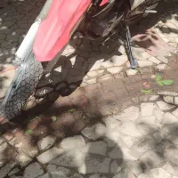 موتور فروشی فلات ۲۰۰ سی سی