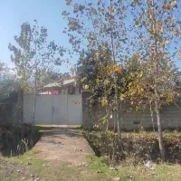 فروش خانه ۱۵۰۰ متر ۱۳۰۰متر سند دارد|فروش خانه و ویلا|ماسال, |دیوار