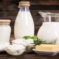 لبنیات محلی