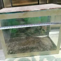 آکواریوم|ماهی|میاندوآب, |دیوار