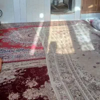 املاک|اجارهٔ آپارتمان|مشهد, بهمن|دیوار