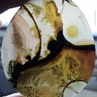 عقیق شجر طبیعی سایز بزرگ گردنبند|کلکسیون اشیاء عتیقه|یزد, |دیوار