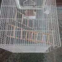 سلام قفس پرنده