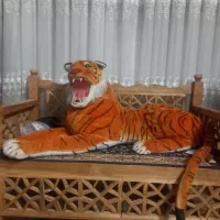 ببرپلیشی سایزبزرگ|اسباب‌‌بازی|قم, شهرک امام حسن|دیوار