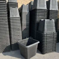 گلدان بزرگ|خدمات باغبانی و درختکاری|تهران, ونک|دیوار