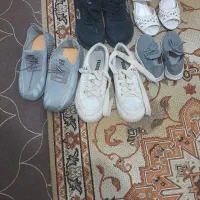 انواع کفش ها