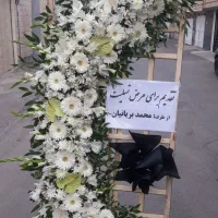 تاج گل زیر قیمت بازار گل|گل و گیاه طبیعی|اصفهان, گرکان|دیوار