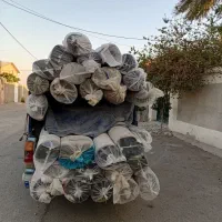 طرح تعویض درمحل فرش های نو با دست دوم