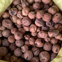 لیمو عمانی پودری|خوردنی و آشامیدنی|وزینه, |دیوار