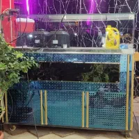 یخچال فریزر