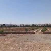 فروش زمینهای کشاورزی و گلخانه و مرتبط در ایوانکی|فروش دفتر صنعتی، کشاورزی، تجاری|شریف‌آباد, |دیوار
