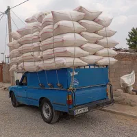 کاه گندم