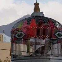 سهره خاکی عتیقه دهن هزار استاد رقاص کت بنداز