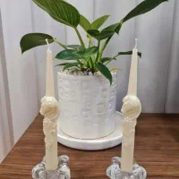 شمع اسب|صنایع دستی و سایر لوازم تزئینی|اصفهان, درب سیبه علیا|دیوار