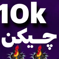 چیکن پابجی فروشی