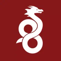 وایرگاد بازی