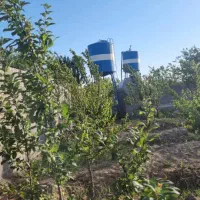 باغ ،باغچه (انجم اباد)|فروش زمین و ملک کلنگی|رباط‌کریم, انجم آباد|دیوار