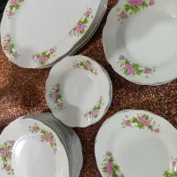 چینی گل سرخی