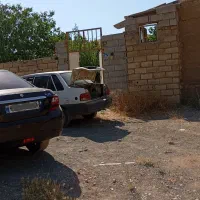 دامداری و باغ بادام