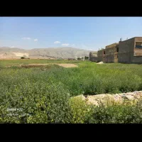 زمین-فروشی