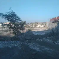 ۵۰۰ زمین خیابان معلم|فروش زمین و ملک کلنگی|راسک, |دیوار