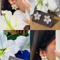 فروش ویژه اکسسوری رنگ ثابت