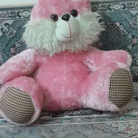 عروسک مانتو|لباس|رباط‌کریم, الارد|دیوار