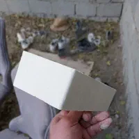 آجر ده سوراخ لفتون|مصالح و تجهیزات ساختمان|باغستان, |دیوار