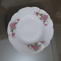 بشقاب غذاخوری گل سرخ چینی