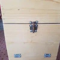 لونه طوطی راهب