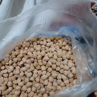 نخوددرجه یک لرستان|خوردنی و آشامیدنی|اهواز, پردیس|دیوار