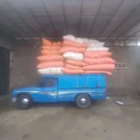 دوخاور کاه گندم تو کیسه