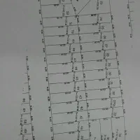 زمین واقع در چمران باموقعیت و پیشرفت عالی|فروش زمین و ملک کلنگی|تربتحیدریه, فردوسی جنوبی|دیوار